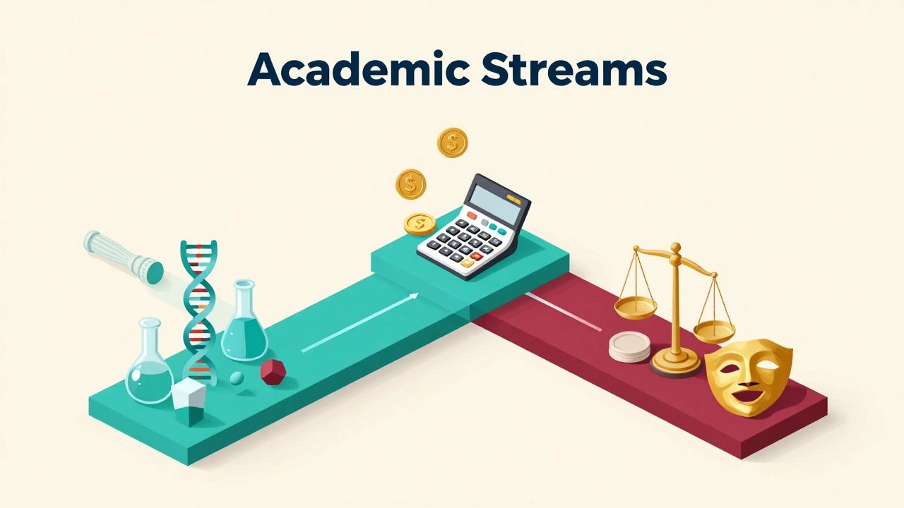 Isometric 3D paths representing Science, Commerce, and Humanities academic streams