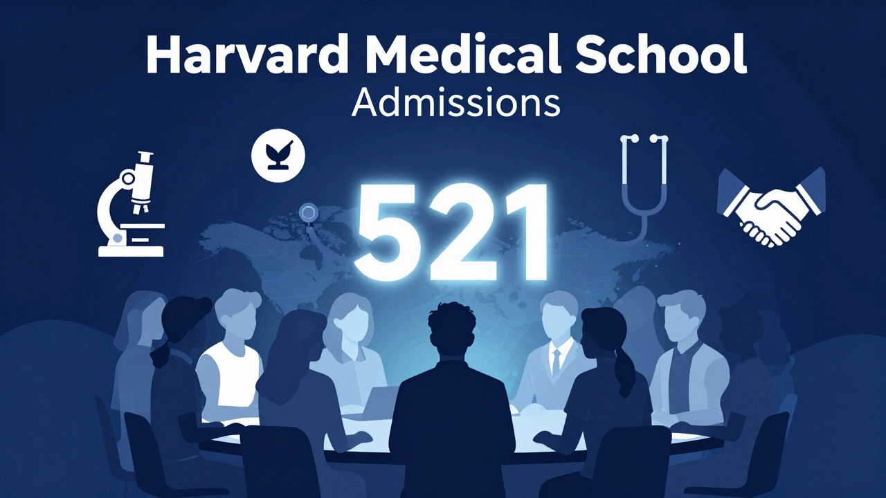 Holistic evaluation of medical school applicants beyond scores